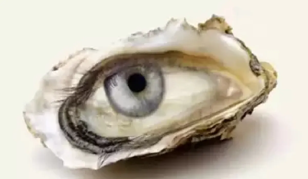 เห็นอะไรเป็นสิ่งแรก เปิดเผยว่าคุณเป็นคนสู้ชีวิตหรือไม่